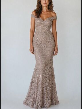 WINDSOR SEQUIN LACE MERMAID GOWN ✨Size small Color nude